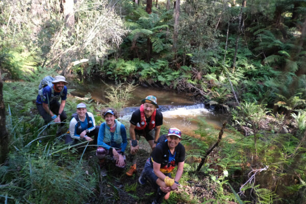 Private Guided Trail Tour – Custom Group Adventure - Image 13