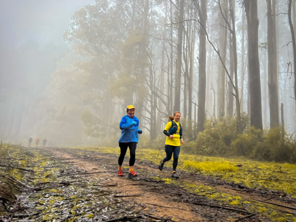 Private Guided Trail Tour – Custom Group Adventure - Image 15