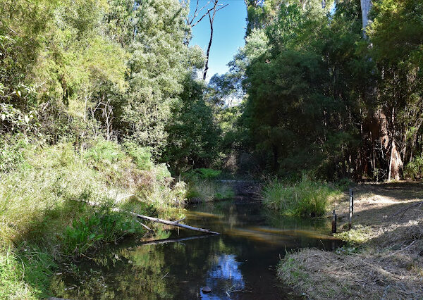 DSC_0242 Saturday 12/9/26 Achilles Wandong Regional Park 8km Hike 16km Trail Run