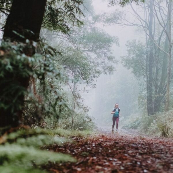 Trail-running-Macedon-Ranges-1024×683 Sunday 28/6/26 Achilles Mt Macedon 8km Hike 16km Trail Run